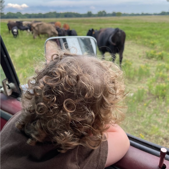 Meet your Posher, Julie - Picture 5 of 10